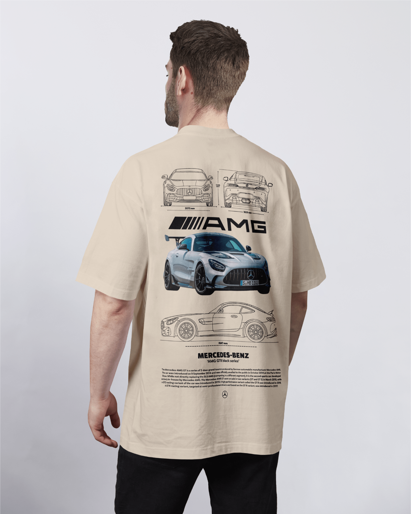 Mercedes-Benz AMG GTR Black Series